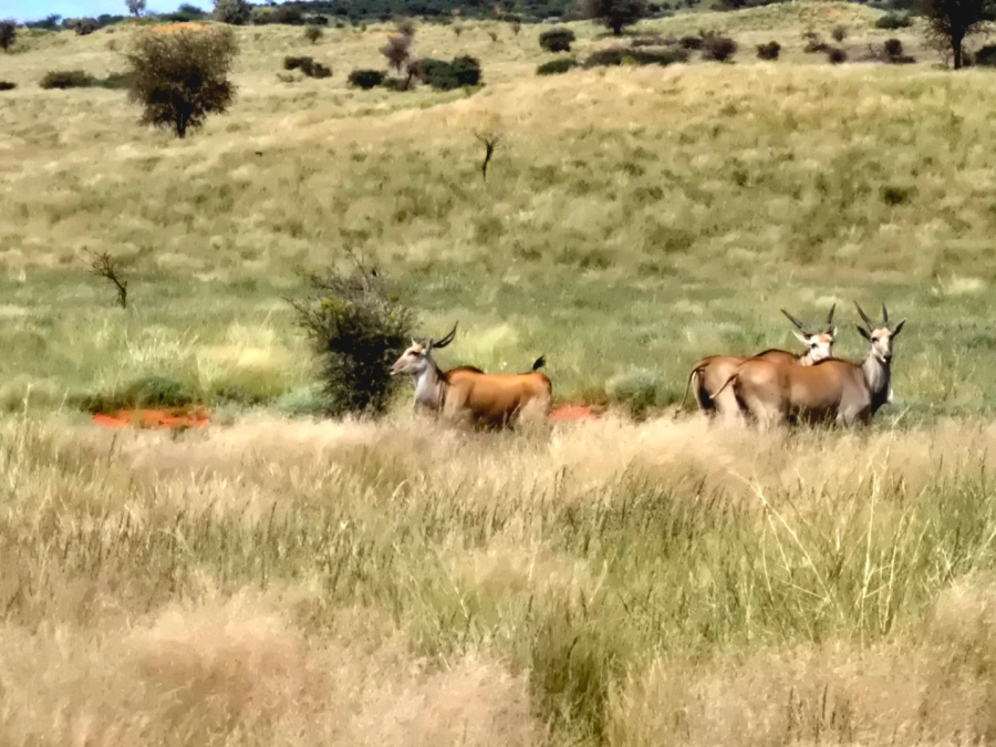 Commercial Property for Sale in Griekwastad Rural Northern Cape